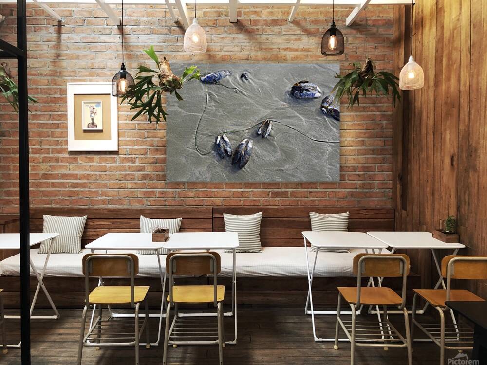 Abstract photo of mussels on the sand Chesterman Beach Reproduction