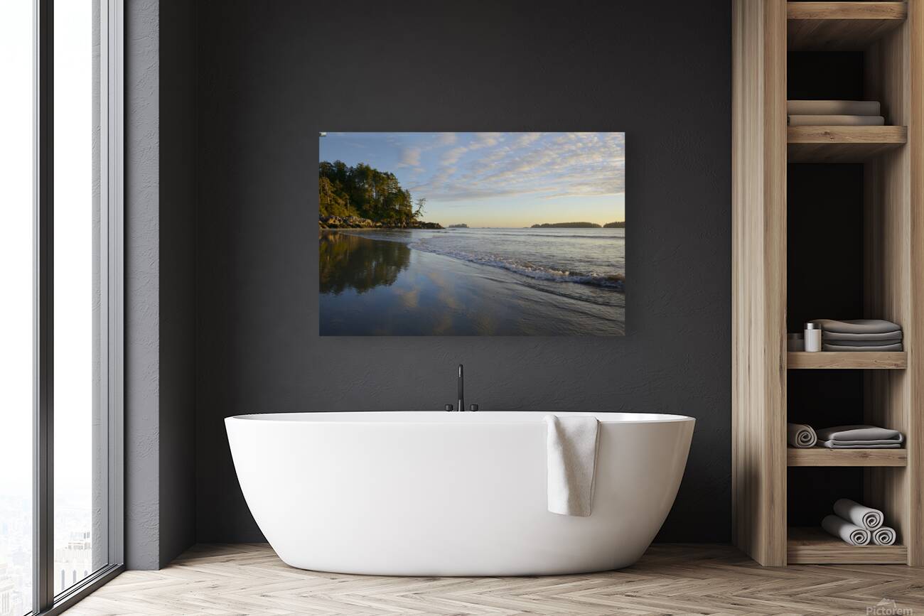 KO B12619 Reproduction