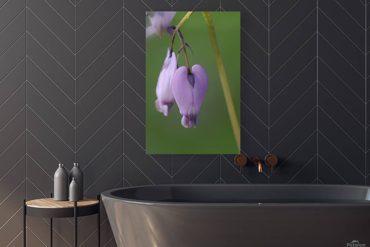 KO A48939 Reproduction