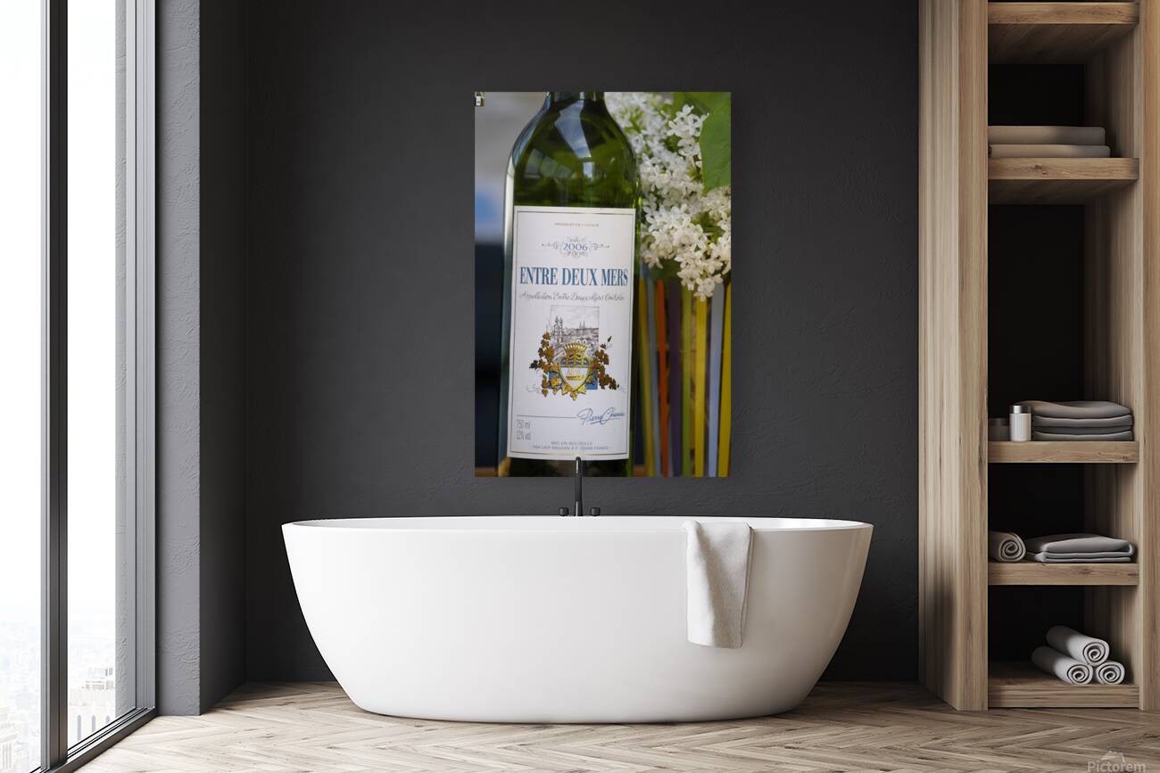 Fleury sur Loire Burgundy France Reproduction