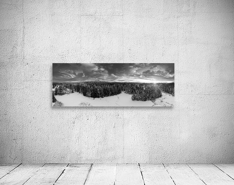 Cowichan Winter - Black & White Wall Preview
