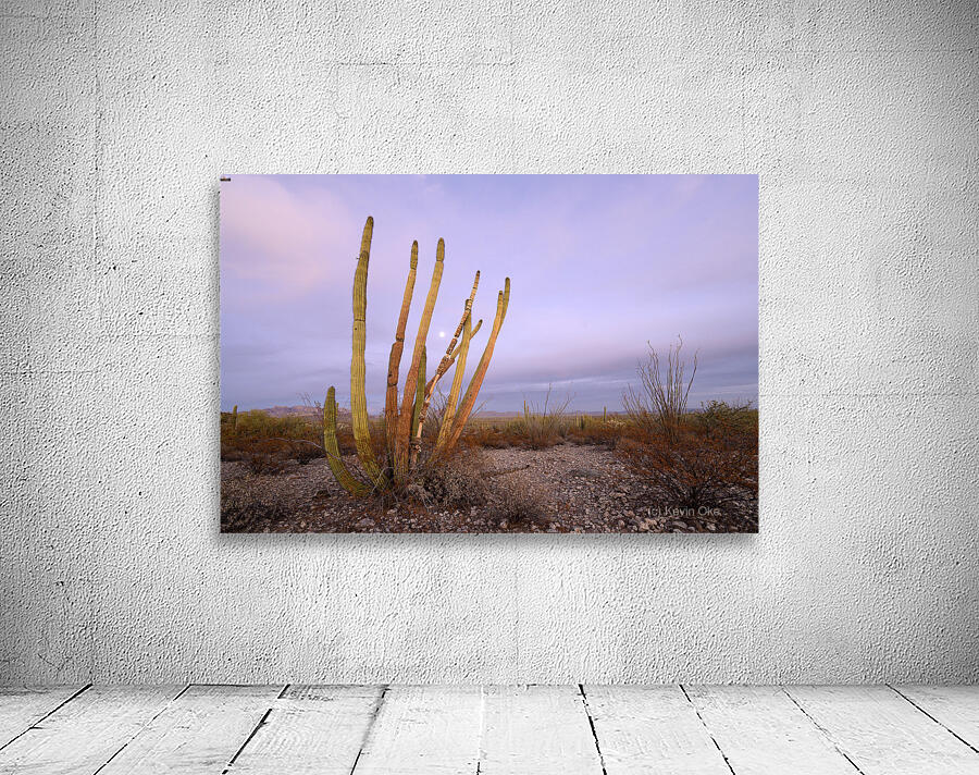 Organ Pipe Cactus Wall Preview