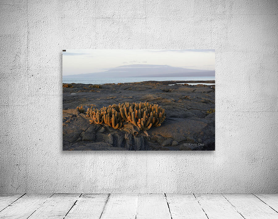 Lava Cactus Wall Preview