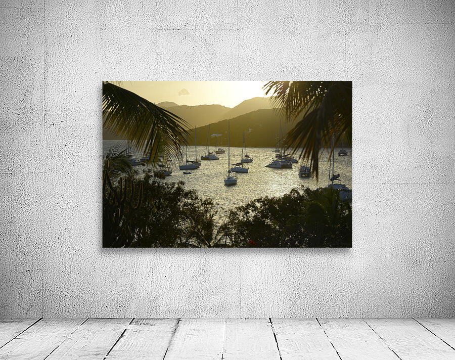 Catamarans and sailboats at the anchorage at Pussers Marina Cay Wall Preview