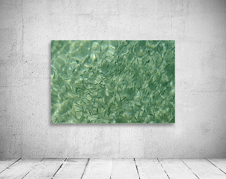 Small reef fish Wall Preview