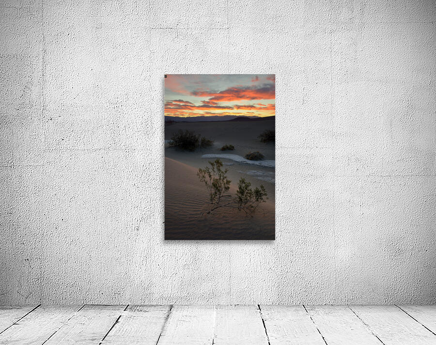 Mesquite Flat Sand Dunes Wall Preview