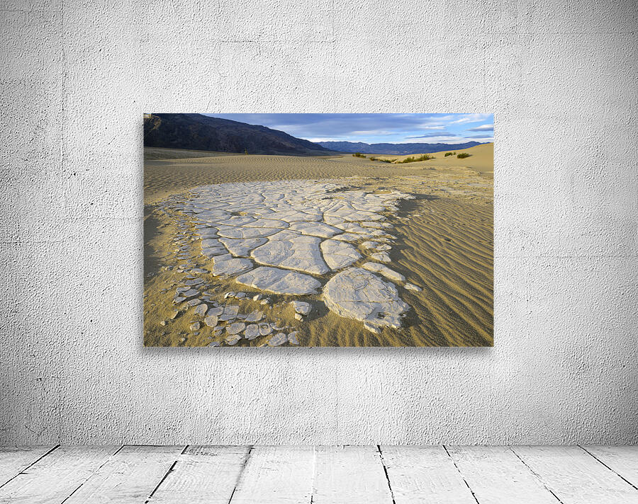 Dried mud exposed on the rippled sand - Mesquite Flat Sand Dunes Wall Preview