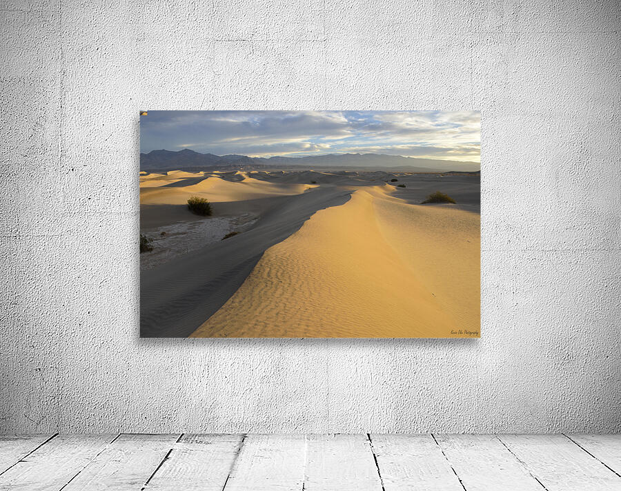 Mesquite Flat Sand Dunes at sunrise Wall Preview