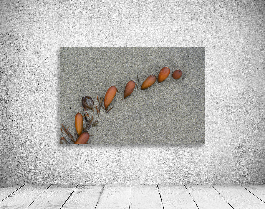 Seaweed floats - Florencia Beach Wall Preview