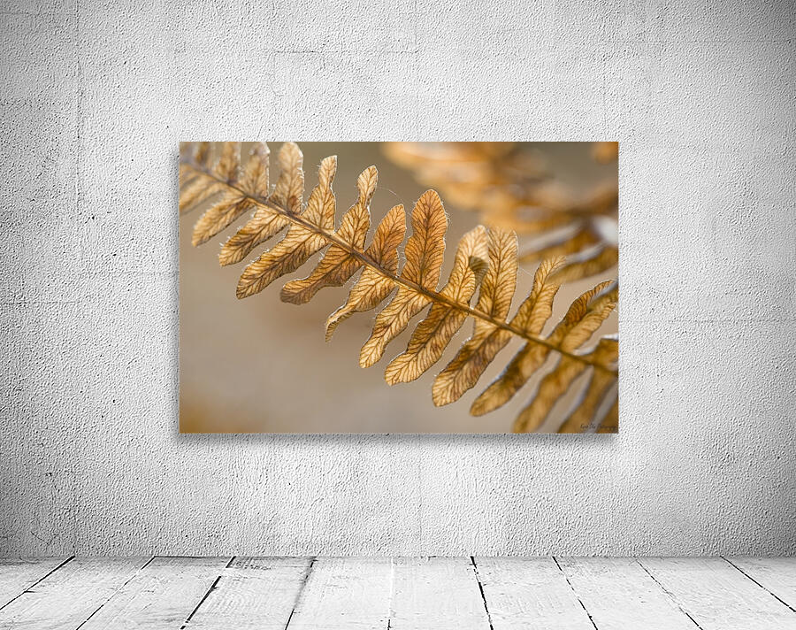 KO 50457 1 Wall Preview