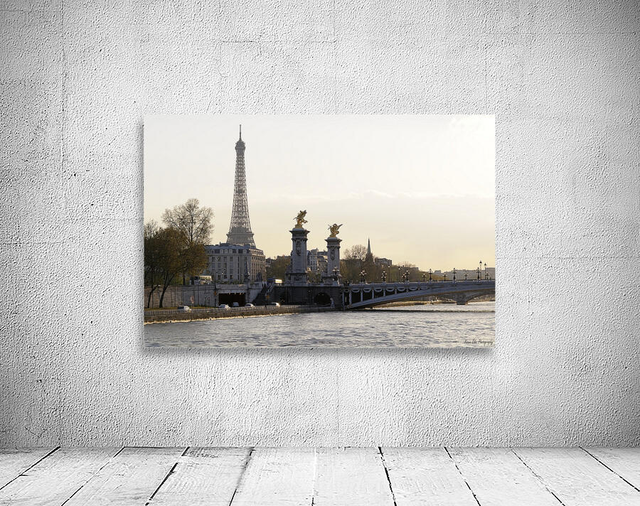 Pont Alexandre III and the Eiffel Tower from the Seine River - Paris Wall Preview