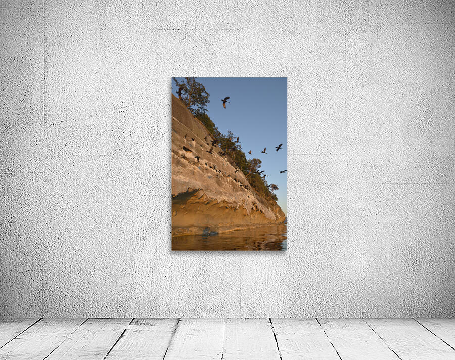 CORMORANTS FLYING ABOVE SCULPTED SANDSTONE CLIFFS Wall Preview