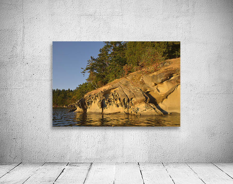 Wave etched sandstone cliff - Tent Island Wall Preview