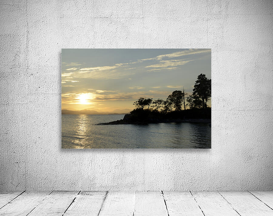 Sunset over Vancouver Island with silhouetted trees Wall Preview