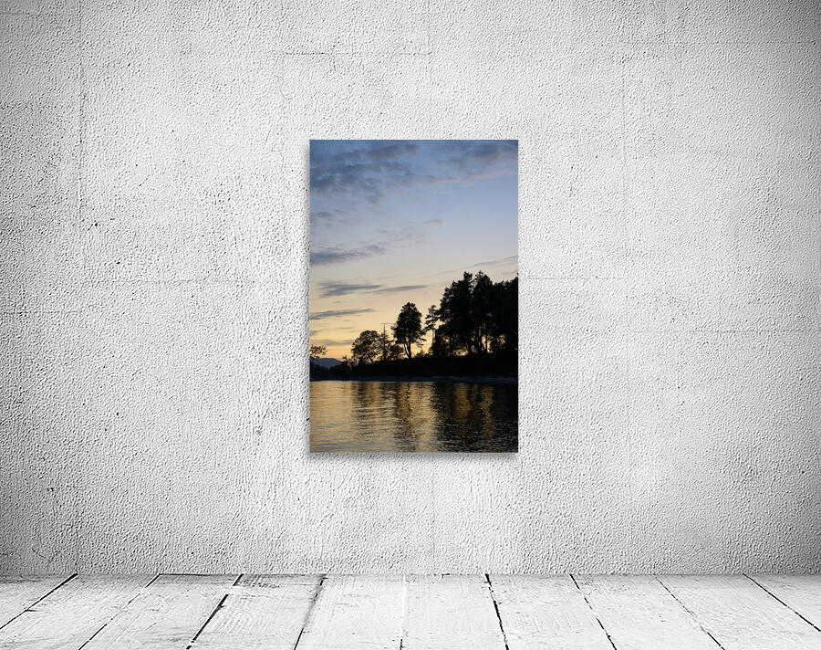 Silhouetted trees at sunset Wall Preview