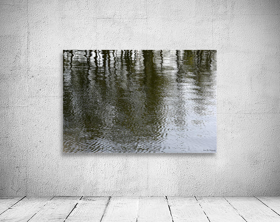Trees reflected in the ocean Wall Preview
