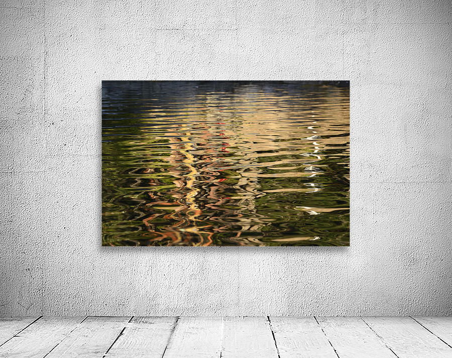 Trees reflected in the ocean Wall Preview