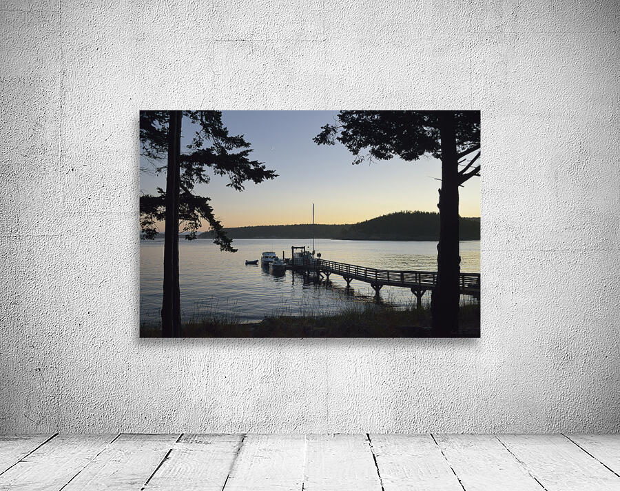 James Island - San Juan Islands Wall Preview