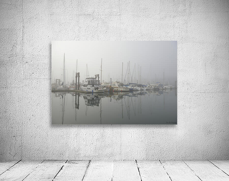 Foggy harbour - San Juan Island Wall Preview