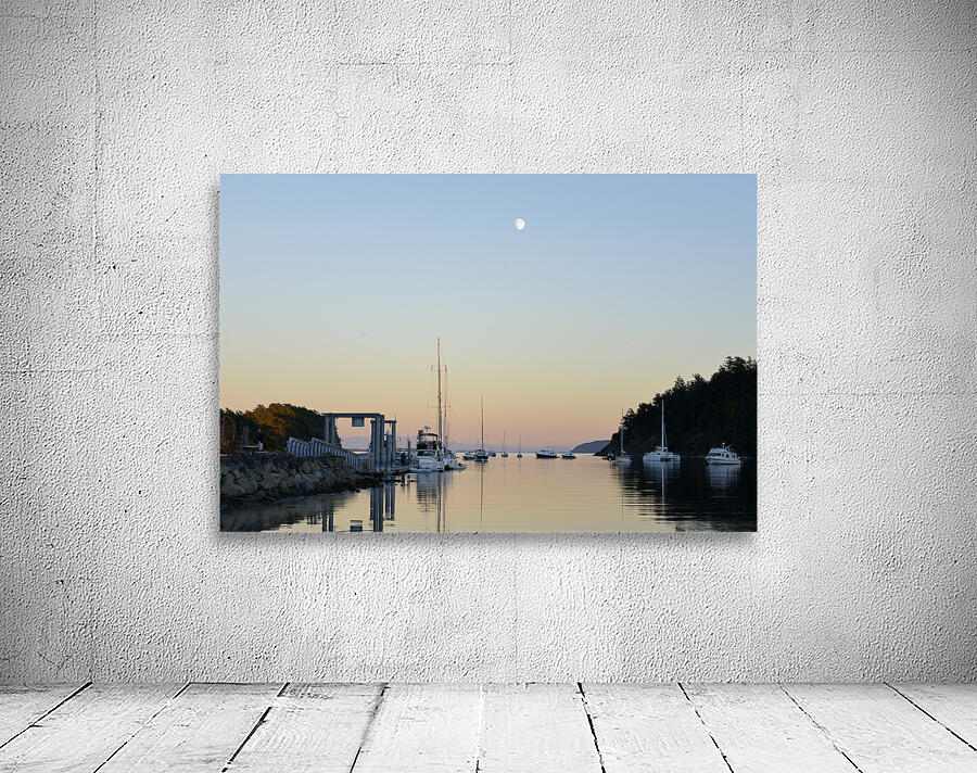 Sucia Island Moonrise - San Juan Islands Wall Preview
