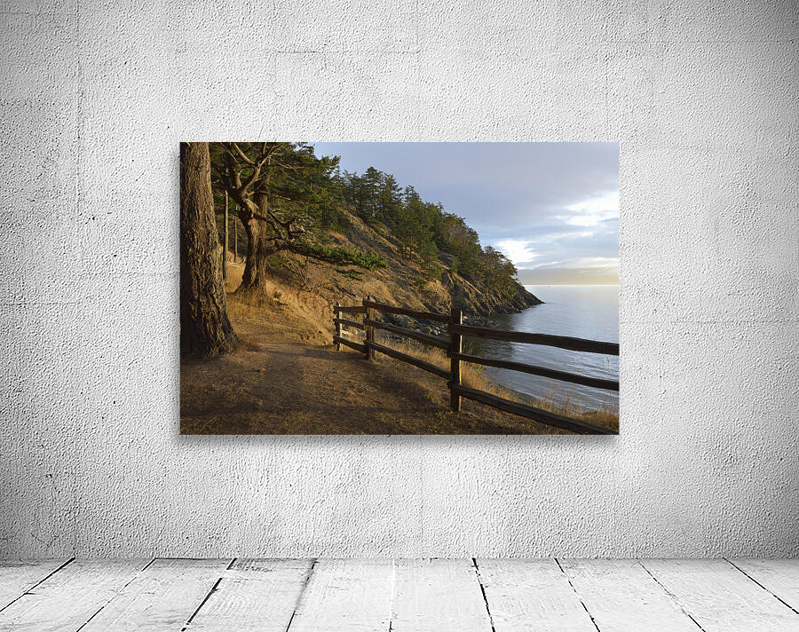 Wood fencing along the cliffs at East Cove Wall Preview
