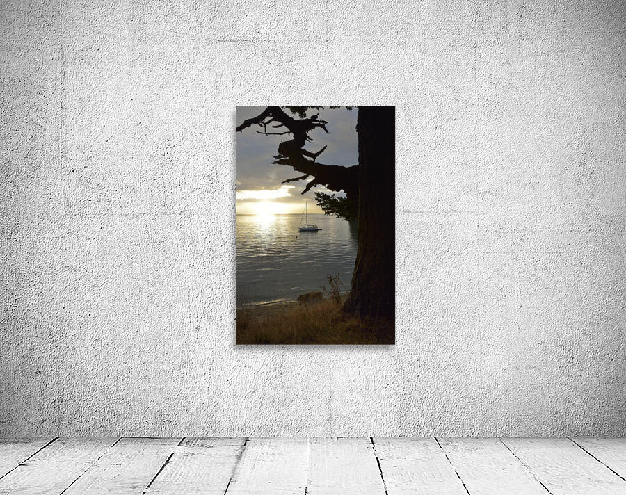 Calm sunset - James Island - San Juan Islands Wall Preview