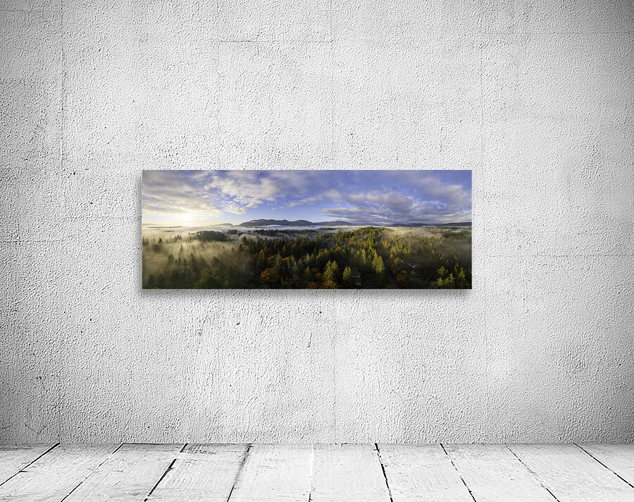 Spring Rays - Vancouver Island Wall Preview