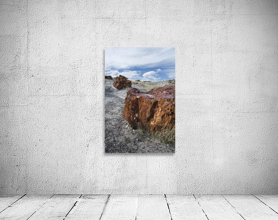 KO A98145 Wall Preview