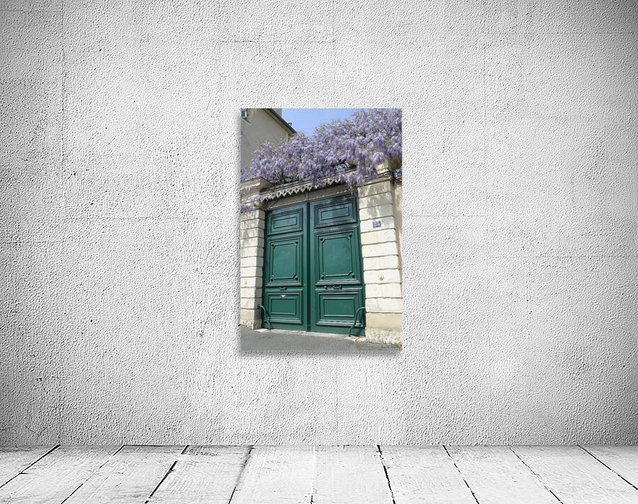 Green door with Wisteria plant in bloom. Nevers Nievre. France Wall Preview