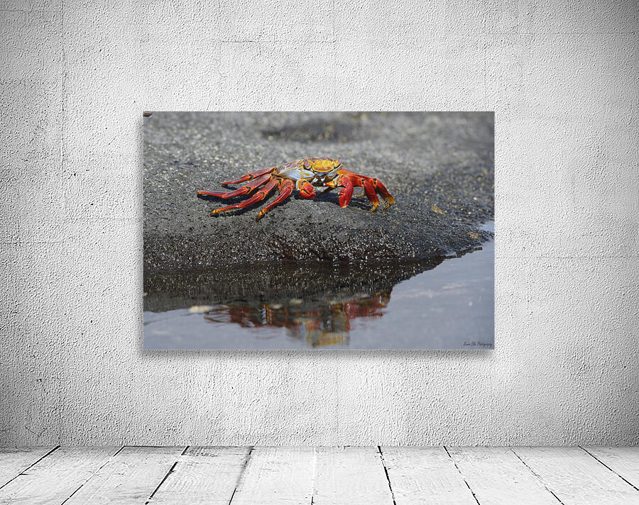 KO EC 10178 Wall Preview