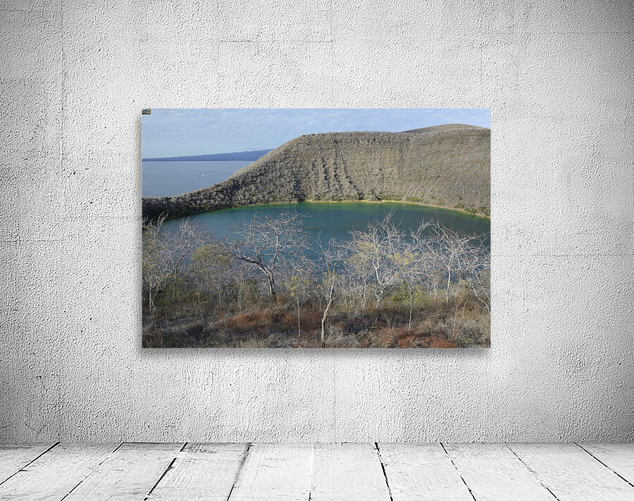 KO EC 11387 Wall Preview