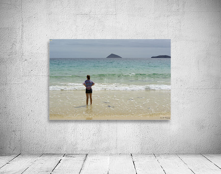 Looking out to sea at Punta Cormorant Floreana Island Galapagos Islands Ecuador Wall Preview