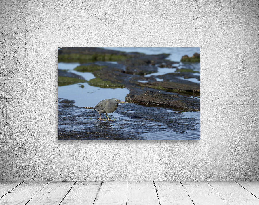 KO EC 13303a Wall Preview