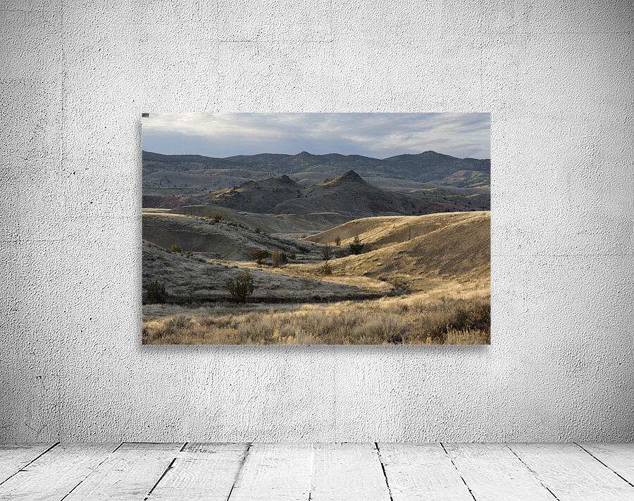 John Day Fossil Beds National Monument Oregon Wall Preview