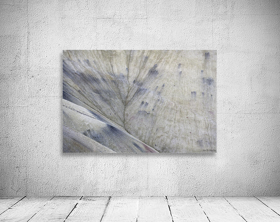 John Day Fossil Beds National Monument Oregon Wall Preview