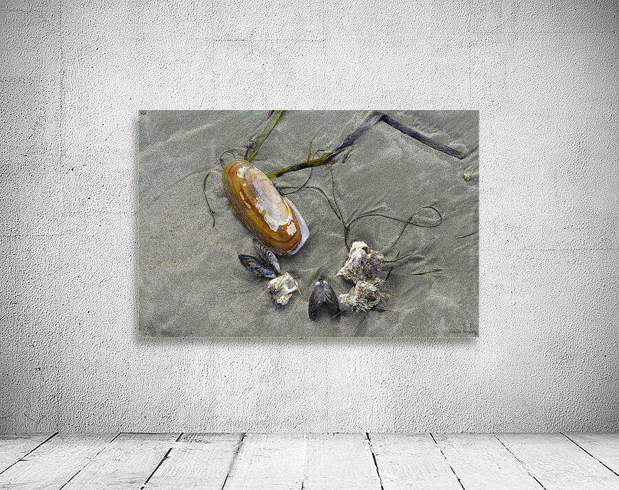 Chesterman Beach Vancouver Island British Columbia Wall Preview