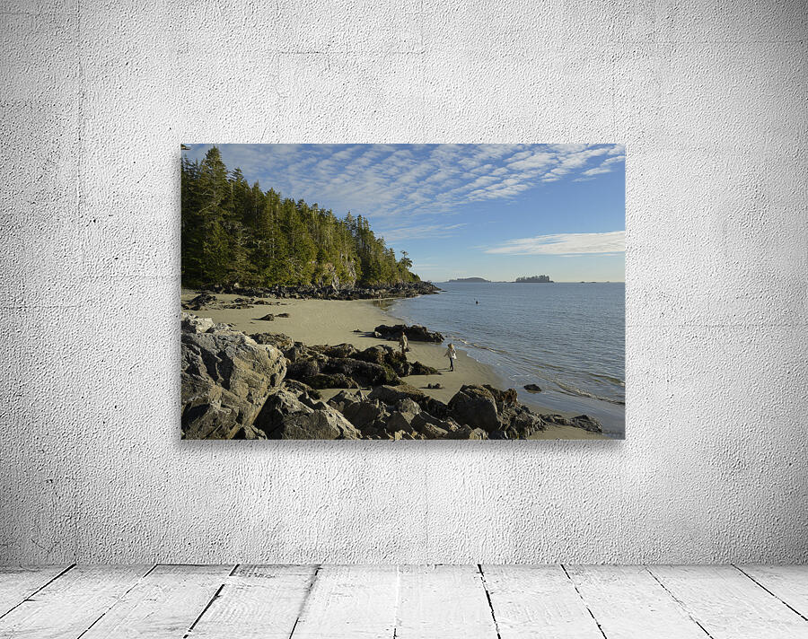 Tonquin Beach Tofino British Columbia Wall Preview