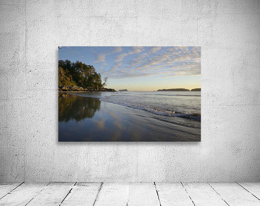 KO B12619 Wall Preview