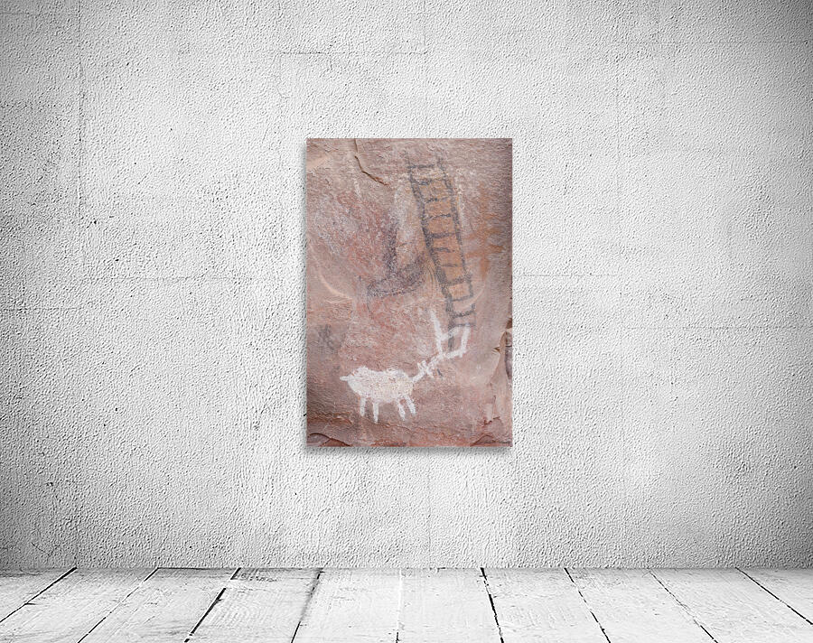 Petroglyphs in Valley of Fire State Park Nevada USA Wall Preview