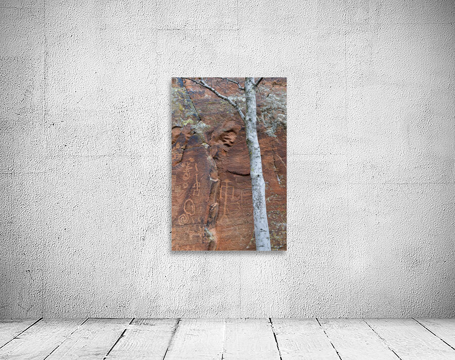 Ancient petroglyphs showcasing animal figures and geometric designs Crane Petroglyph Site Verde Valley Arizona Wall Preview