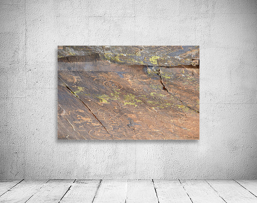 Ancient petroglyphs showcasing animal figures and geometric designs Crane Petroglyph Site Verde Valley Arizona Wall Preview