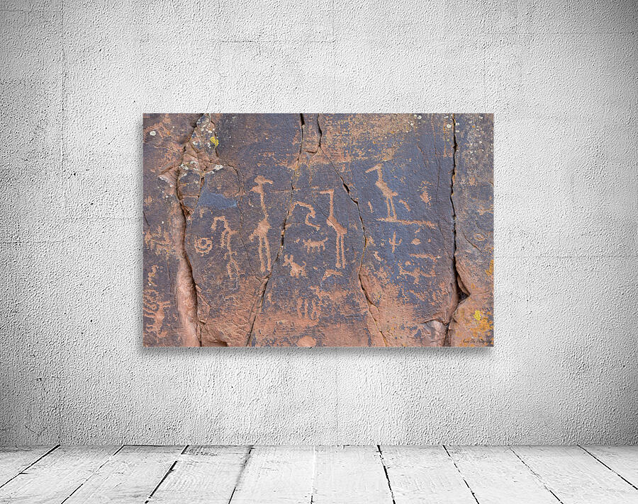 KO D22046a Wall Preview