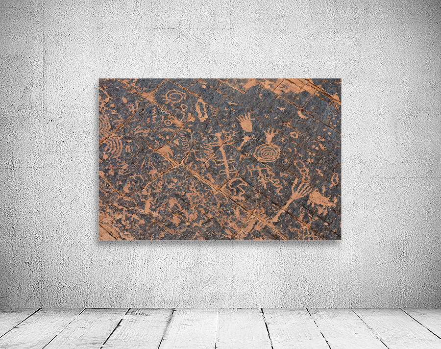 KO D22499 Wall Preview