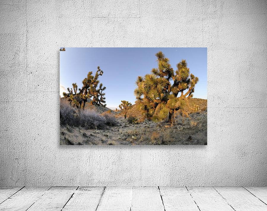 KO A11560 Wall Preview