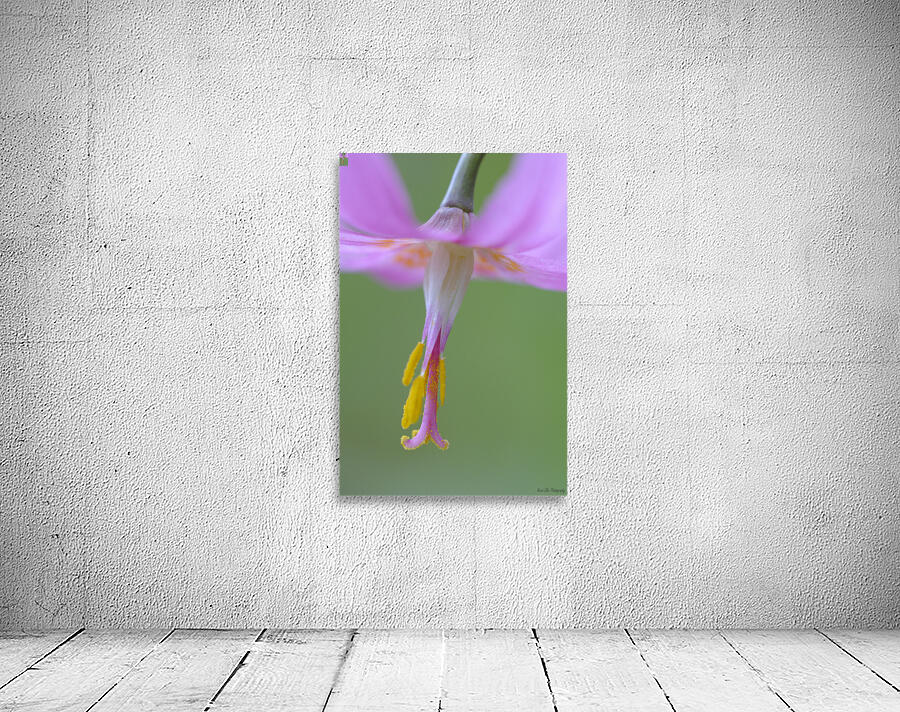 KO A18015 Wall Preview