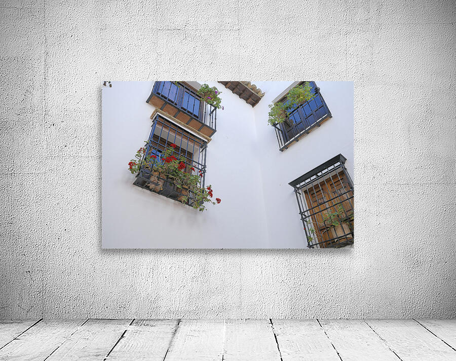 Windows with potted plants  Mondragons Palace Ronda Málaga Andalusia Spain Wall Preview