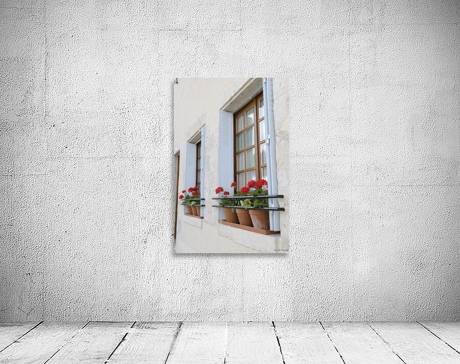 Potted red geraniums in a window Châtillon sur Loire Centre France Wall Preview