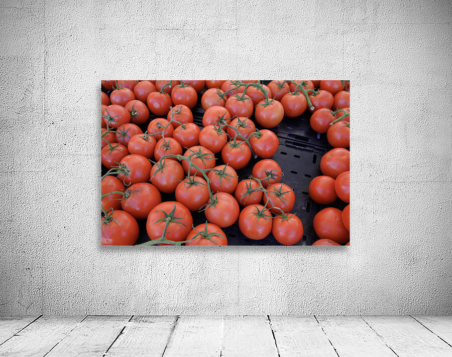 KO D16949 Wall Preview