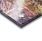 Spider Rock Acrylic print