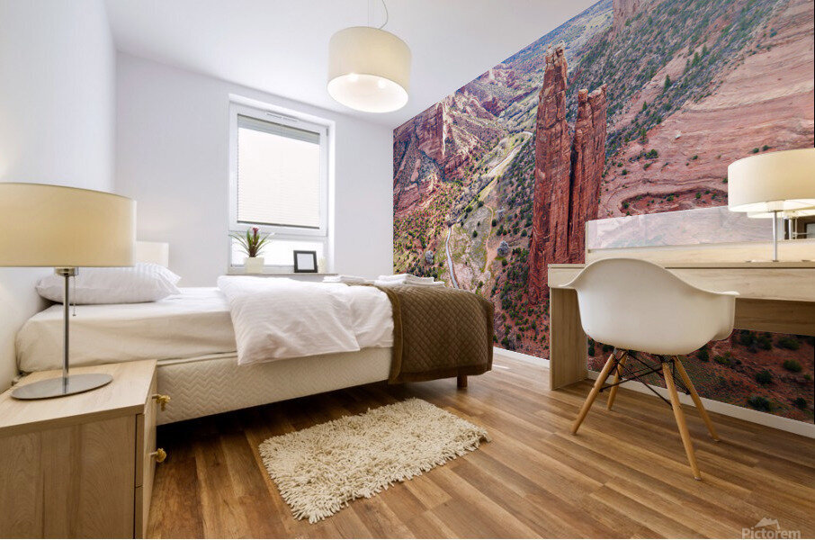 Spider Rock Mural print